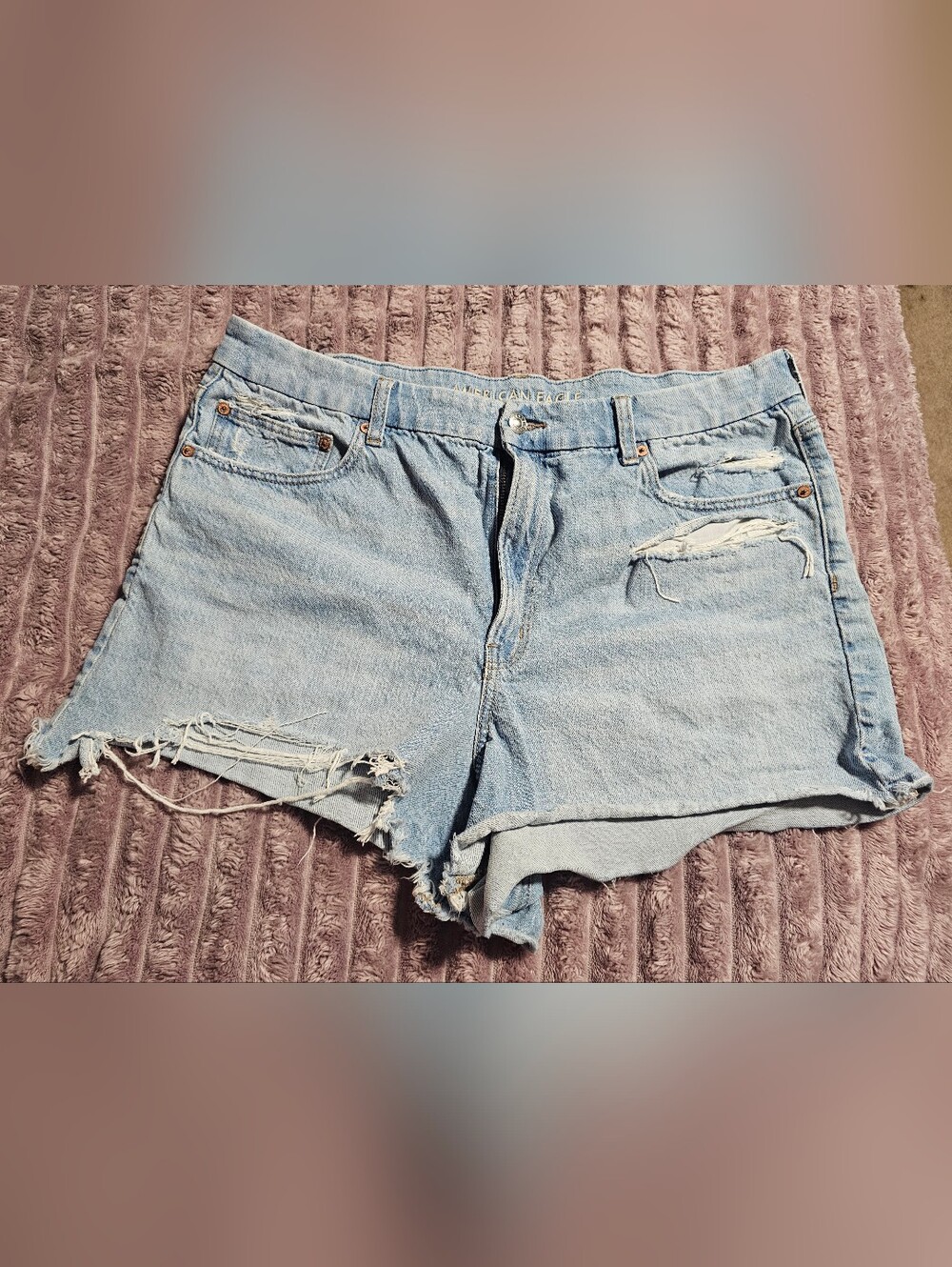 American Eagle Outfitters Light Wash Distressed Denim Shorts